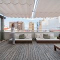 Hospes Amerigo