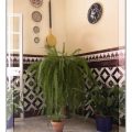 Hostal Andalucía