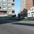 Hostal Avenida 31