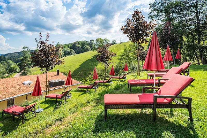 Hotel Adler in Achern, Germany