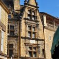 Hotel Albizia