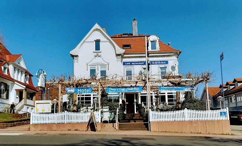 Hotel Allee Schlosschen in Bad Wildungen, Germany