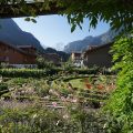 Hotel Alpenrose