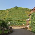 Hotel Altenberg