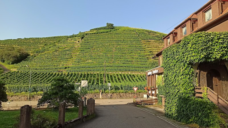 Hotel Altenberg in Baden-Baden, Germany