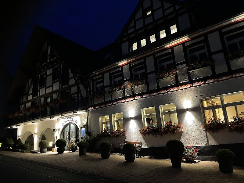 Hotel Antoniushütte in Balve, Germany