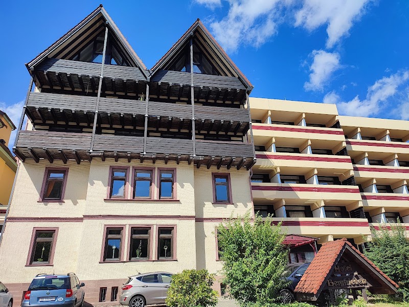 Hotel Bergfrieden in Bad Lauterberg, Germany