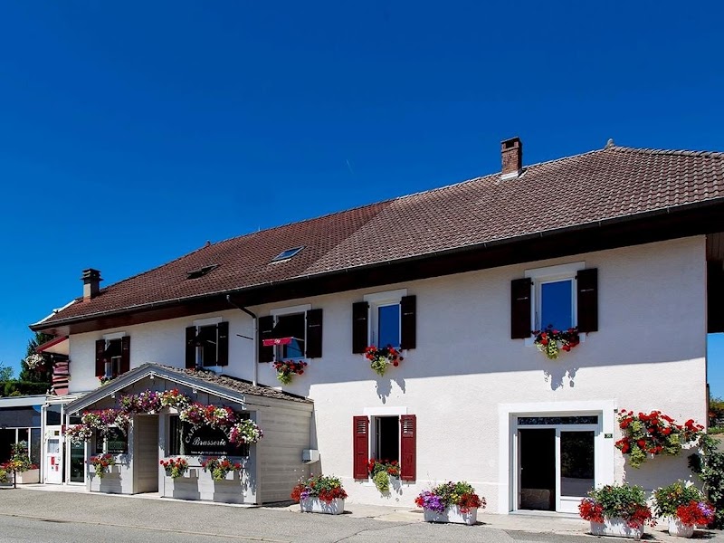 Hotel Blanc in Rumilly, France