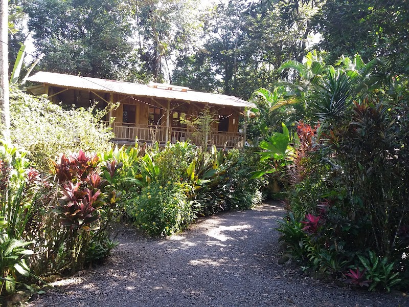 Hotel Casa Rio Blanco Eco Friendly in Guapiles, Costa Rica