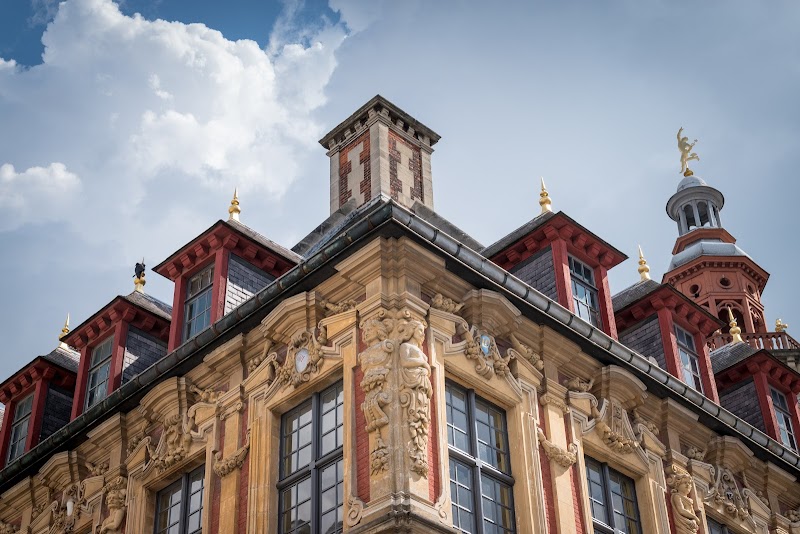 Hotel De La Paix Lille in Lille, France