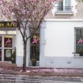 Hotel Des Arts