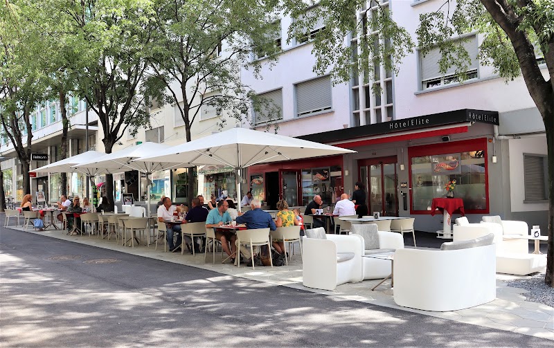 Hotel Elite in Sion, Switzerland
