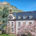 Hotel Goethe