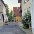 Hotel Goldener Engel