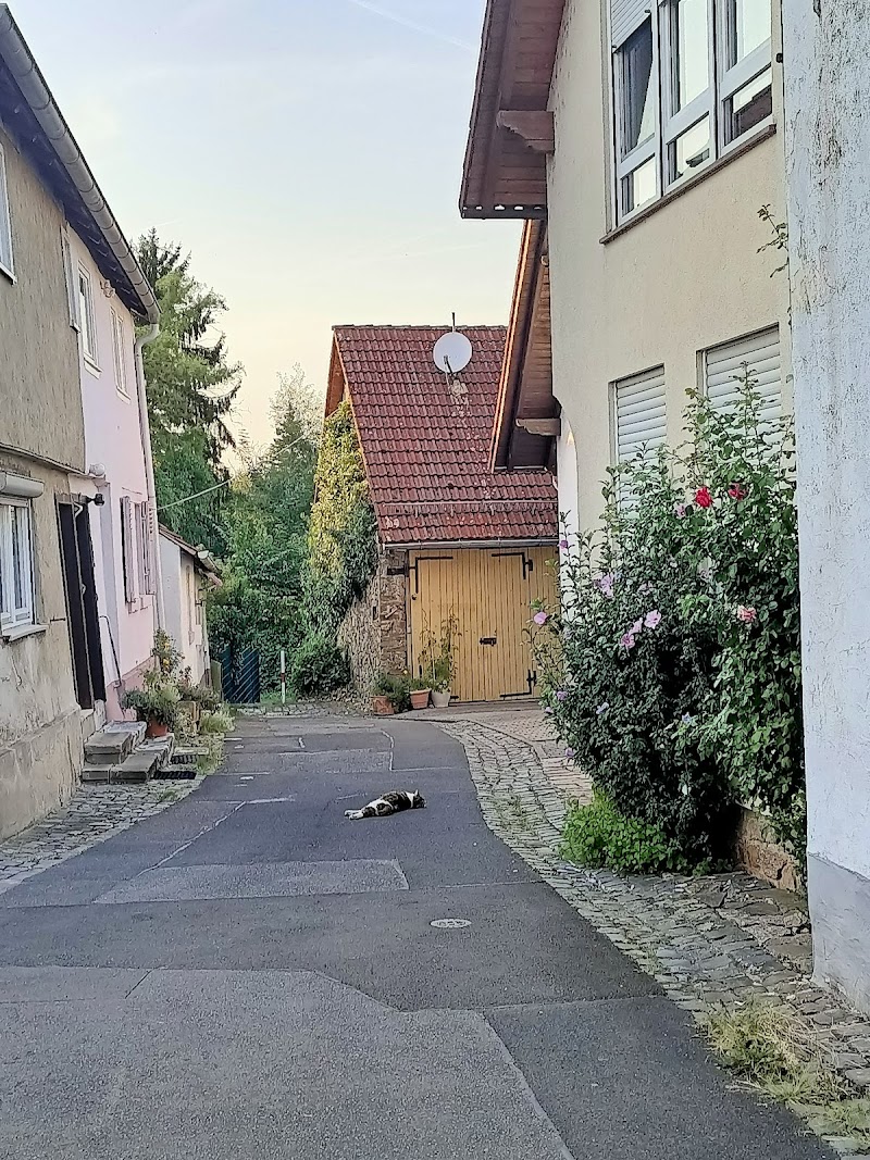 Hotel Goldener Engel in Alzenau in Unterfranken, Germany