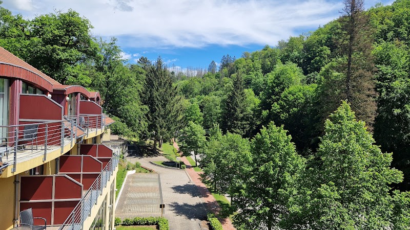 Hotel Habichtstein in Bad Harzburg, Germany