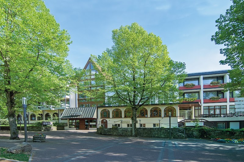 Hotel Häffner Bräu in Bad Rappenau, Germany