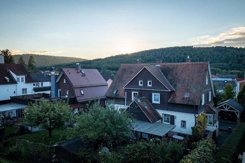 Hotel Irene in Bad Konig, Germany