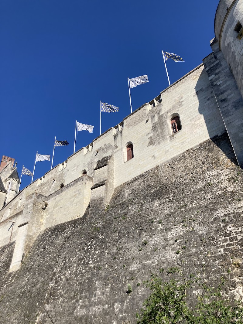 Hotel La Capitainerie in Amboise, France