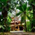Hotel La Costa de Papito