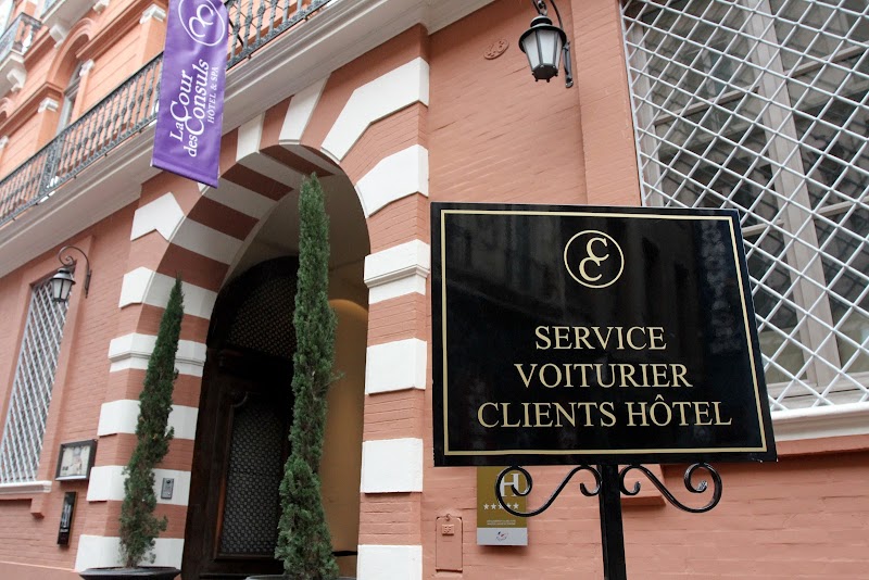 Hotel La Cour des Consuls in Montauban, France