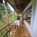 Hotel La Rana de Arenal