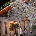 Hotel La Villa des Oliviers