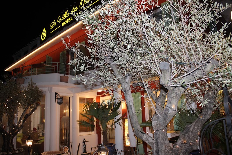 Hotel La Villa des Oliviers in Cagnes-sur-Mer, France