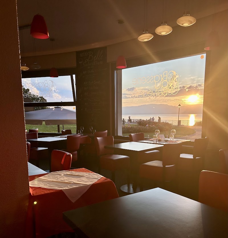 Hotel Le Belvédère in Thonon-les-Bains, France