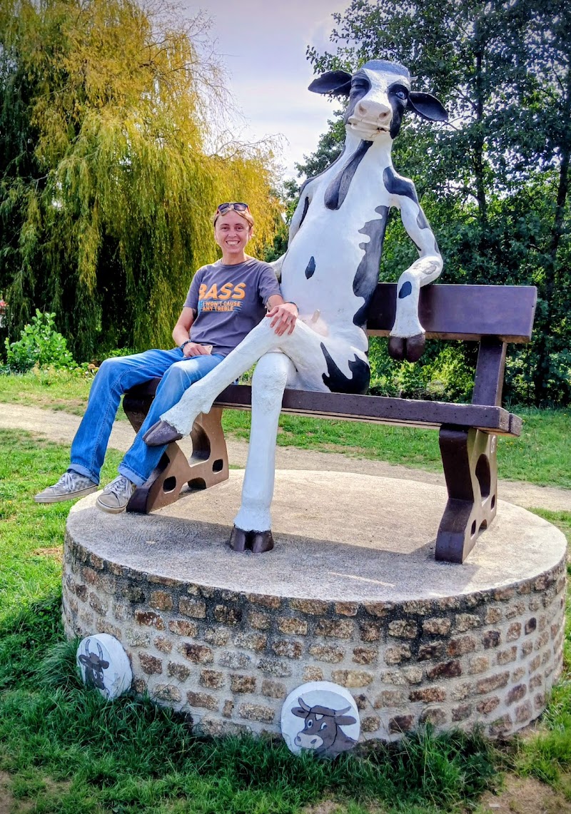 Hotel Le Bretagne in Mayenne, France