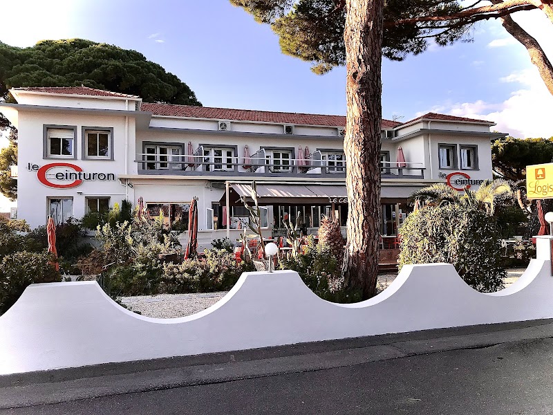 Hotel Le Ceinturon in Hyeres, France