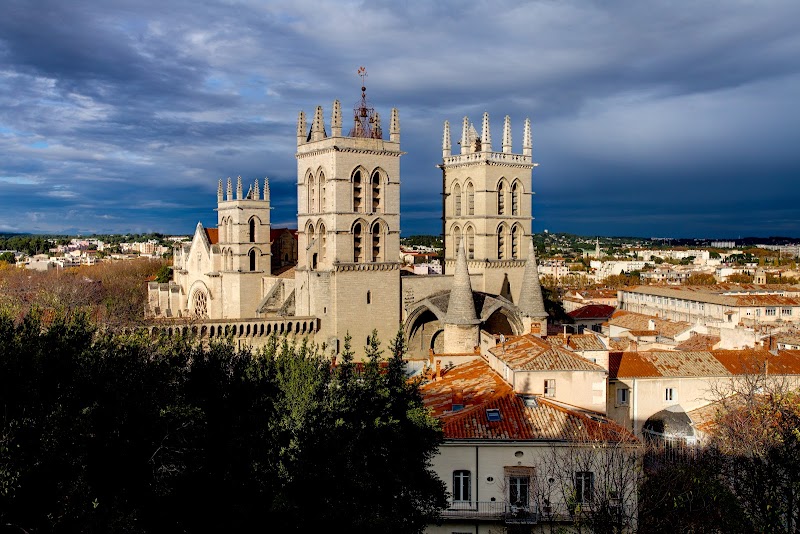 Hotel Le Guilhem in Montpellier, France
