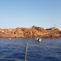 Hotel Le Lion de Mer
