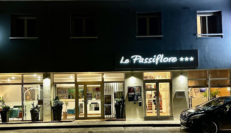 Hôtel Le Passiflore in Cognac, France