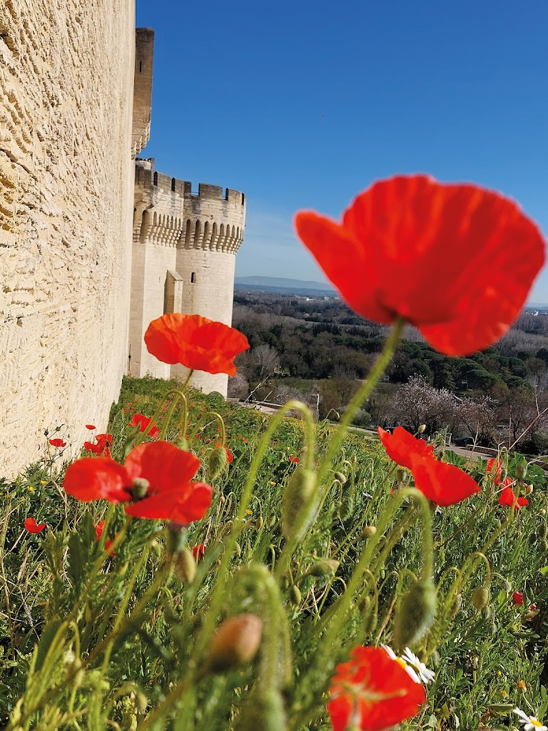 Hotel Le Saint André in Villeneuve-les-Avignon, France