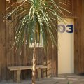 Hotel Les Dunes