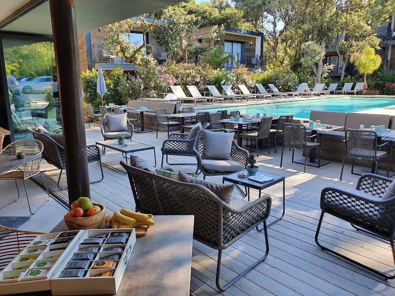 Hotel Les Iles d'Or in Hyeres, France