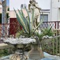 Hotel Les Myrtes