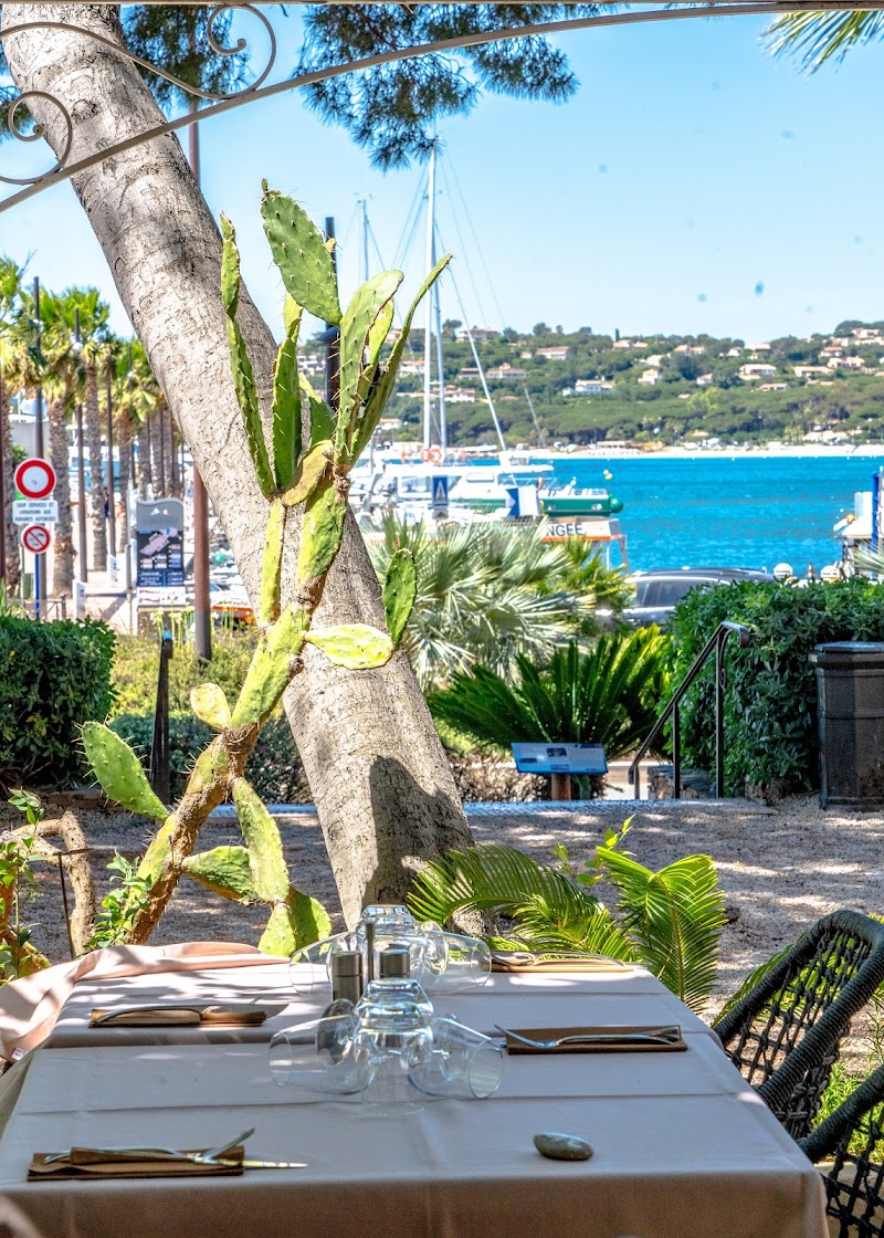 Hotel Les Palmiers in Sainte-Maxime, France