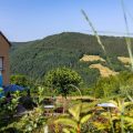 Hotel Les Raspes