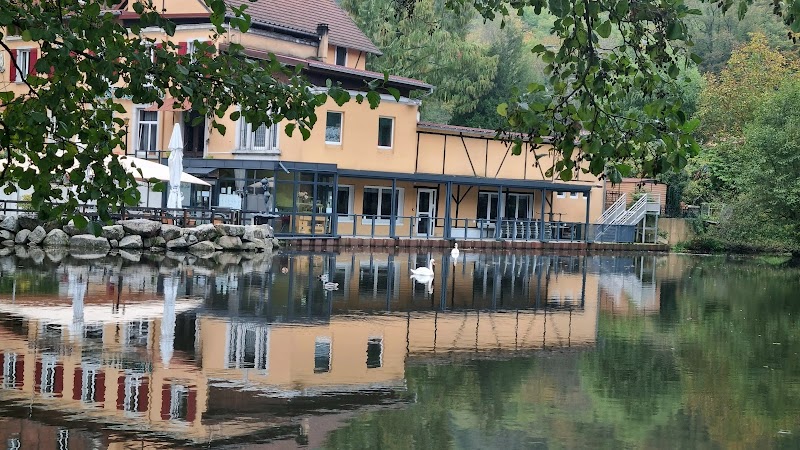 Hotel Les Rives in Guebwiller, France