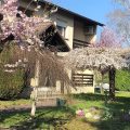 Hotel Les Tilleuls