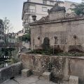 Hotel Lotus