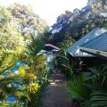 Hotel Mandarina