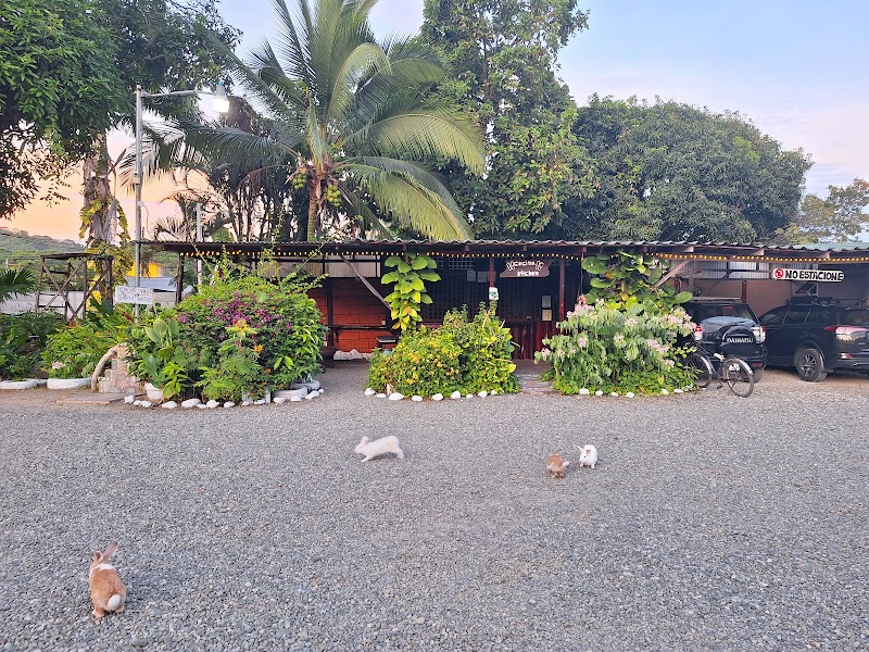 Hotel Maritza in Puerto Viejo, Costa Rica