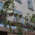Hotel Monarque El Rodeo