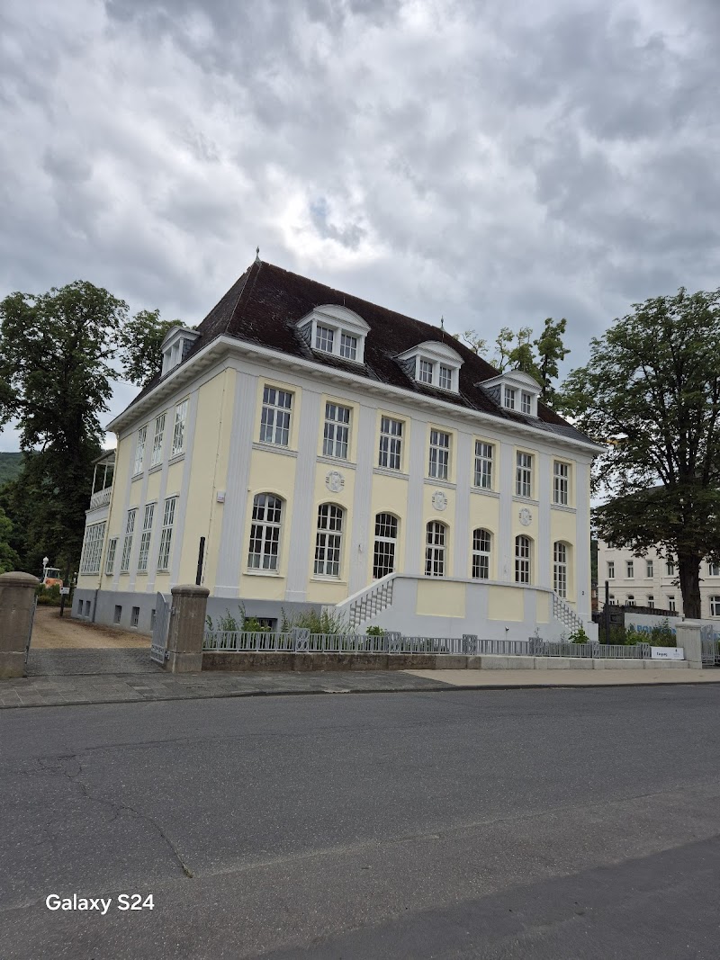 Hotel Neuenahrer Hof in Bad Neuenahr-Ahrweiler, Germany