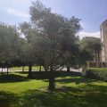 Hotel Norte