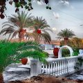 Hotel Petras Beach