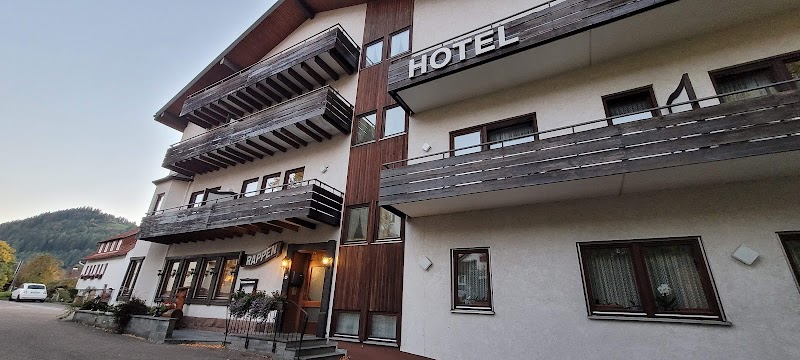 Hotel Rappen in Baiersbronn, Germany